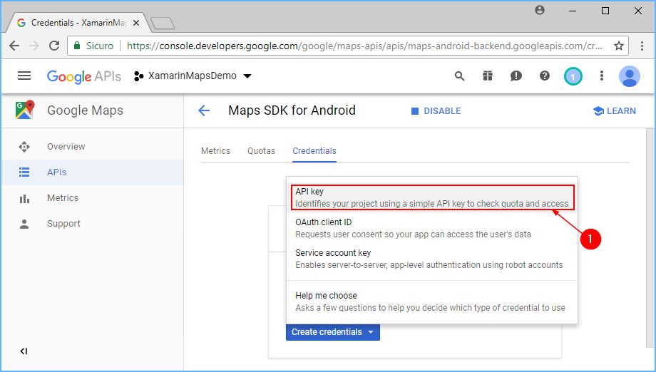 How to obtain a Google Maps API Key