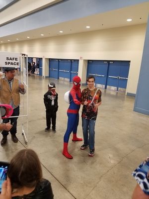 The incredible variety of Supercon 2016, Day 3 and 4
