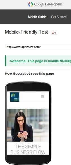 Caption of our website being diagnosed by Google’s mobile-friendly tester